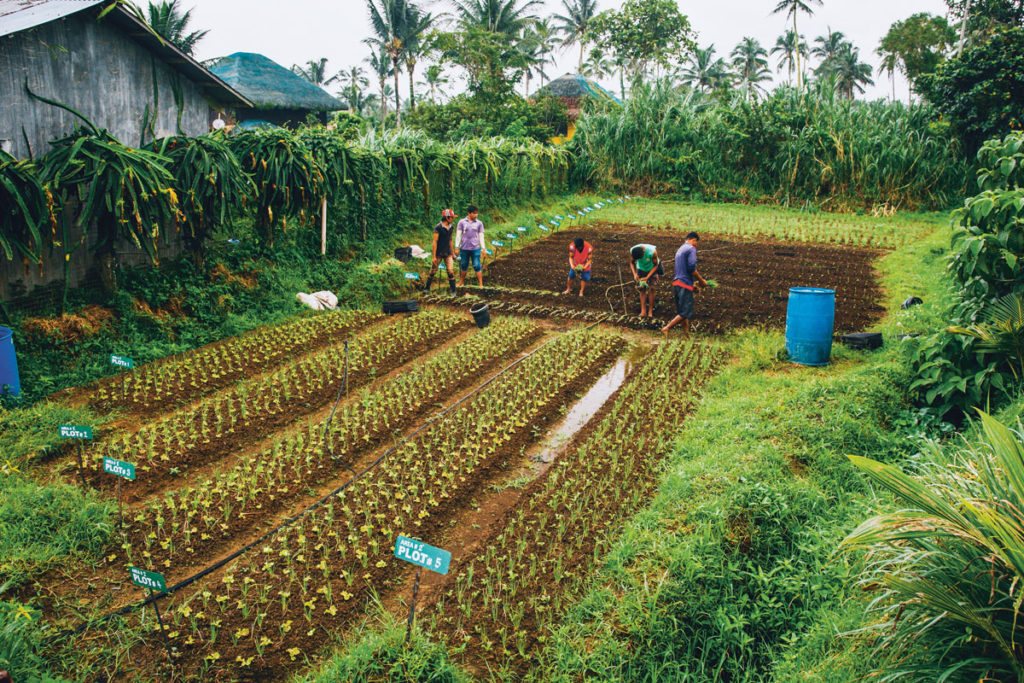 Agritourism agriculture recognized angelo mendoza