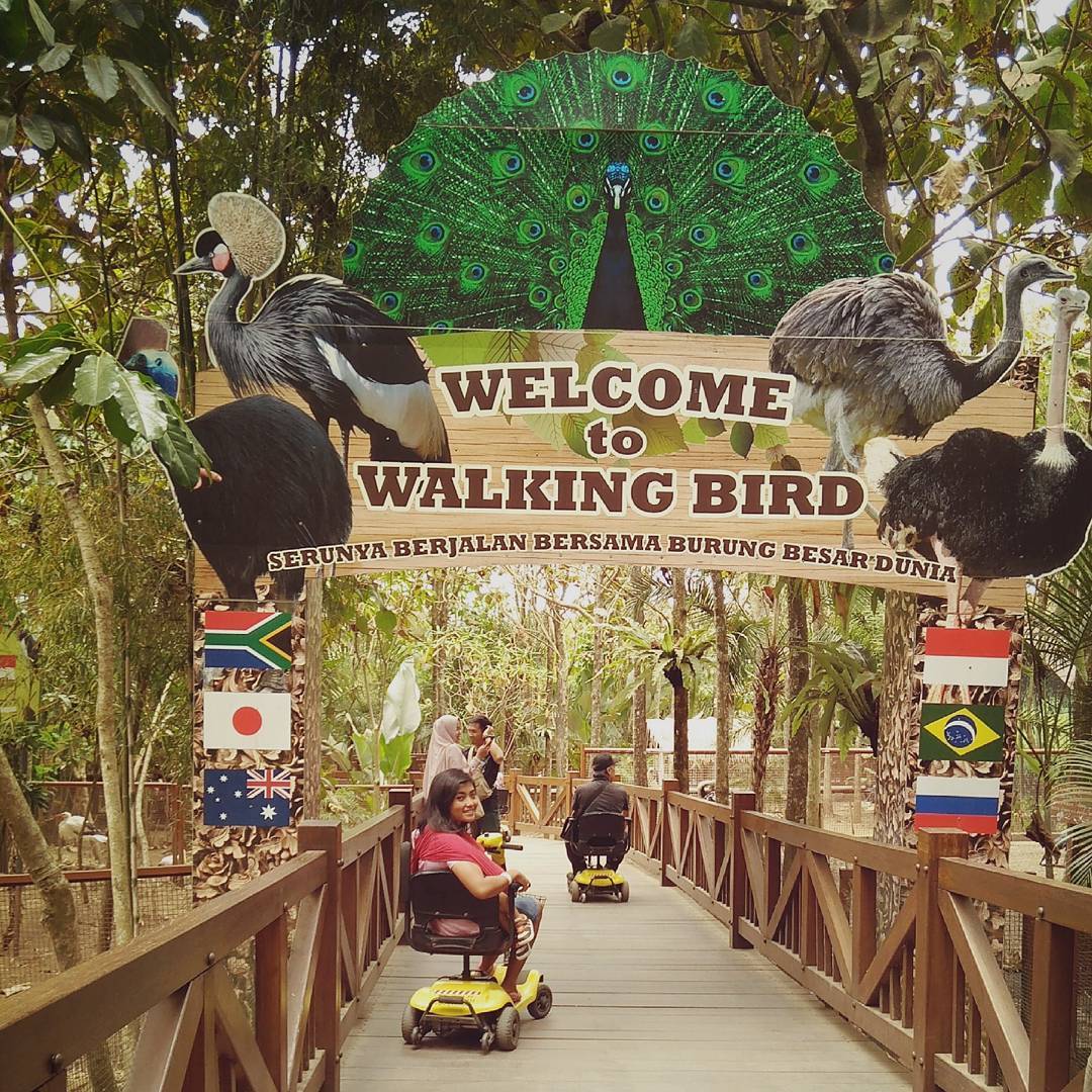 Wisata edukasi di malang yang menarik untuk keluarga