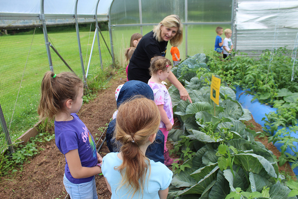 Teaches group hyperlocal manure livestock fertilisers discovering besides