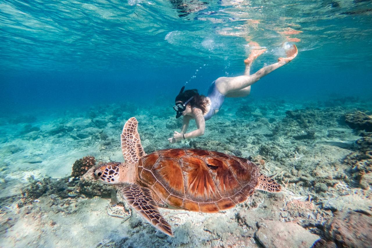 Paket snorkeling murah di Gili Trawangan untuk keluarga
