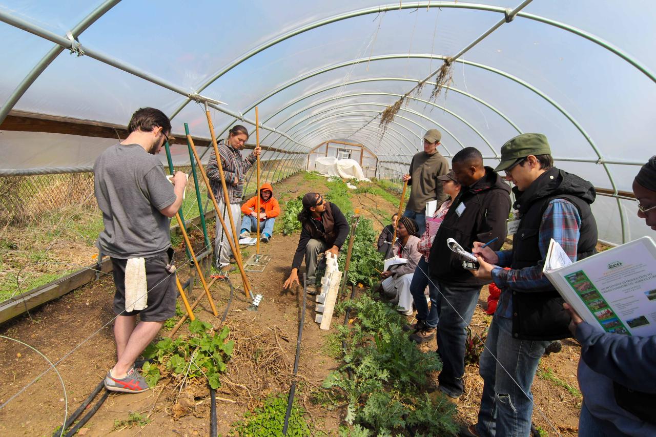 Farm tours hawaii agriculture farms tourism agricultural experiences