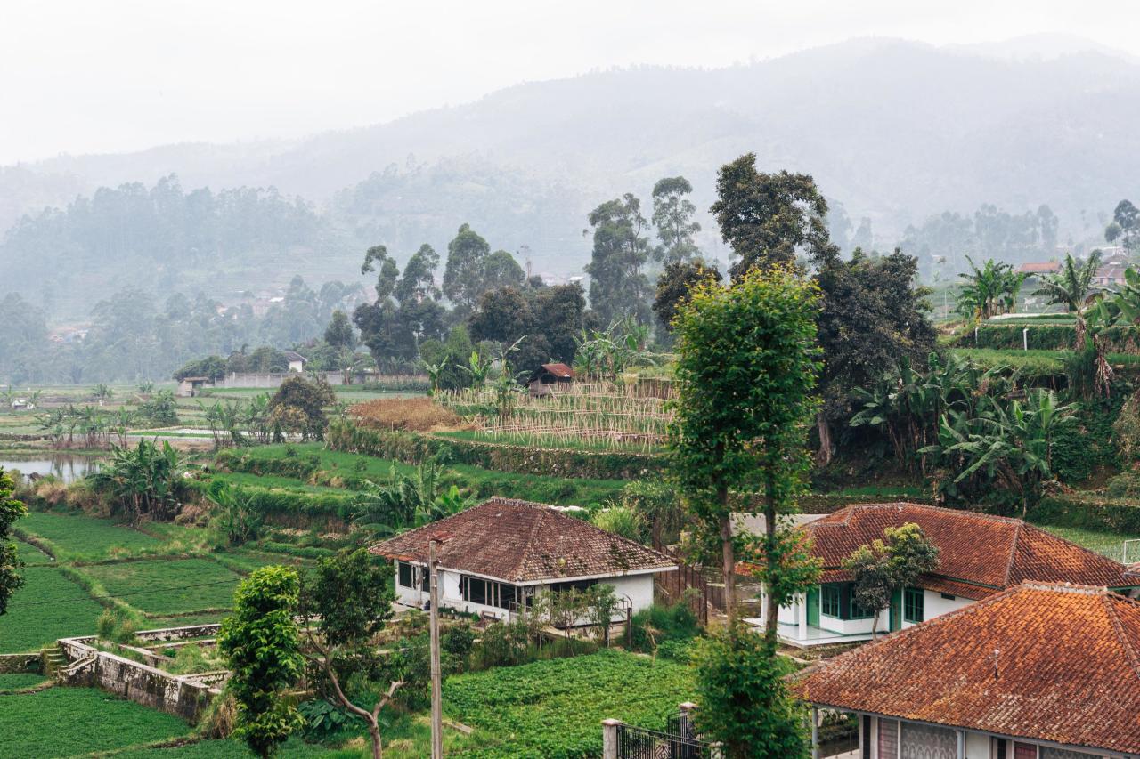 Paket wisata kebun buah dan edukasi pertanian untuk anak di jawa barat