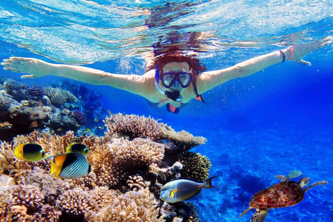 Perbandingan harga dan fasilitas snorkeling di Menjangan Island