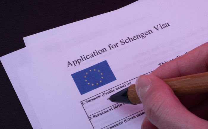 Schengen sample visas