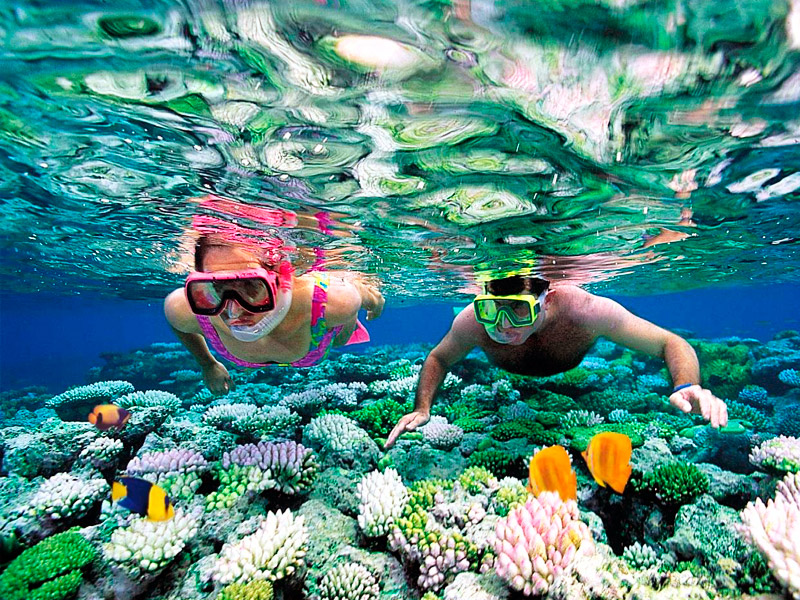 Snorkeling karimunjawa outbound outing setelah jadwal