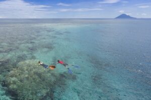 Perbandingan Harga Snorkeling Bunaken untuk 5 Orang