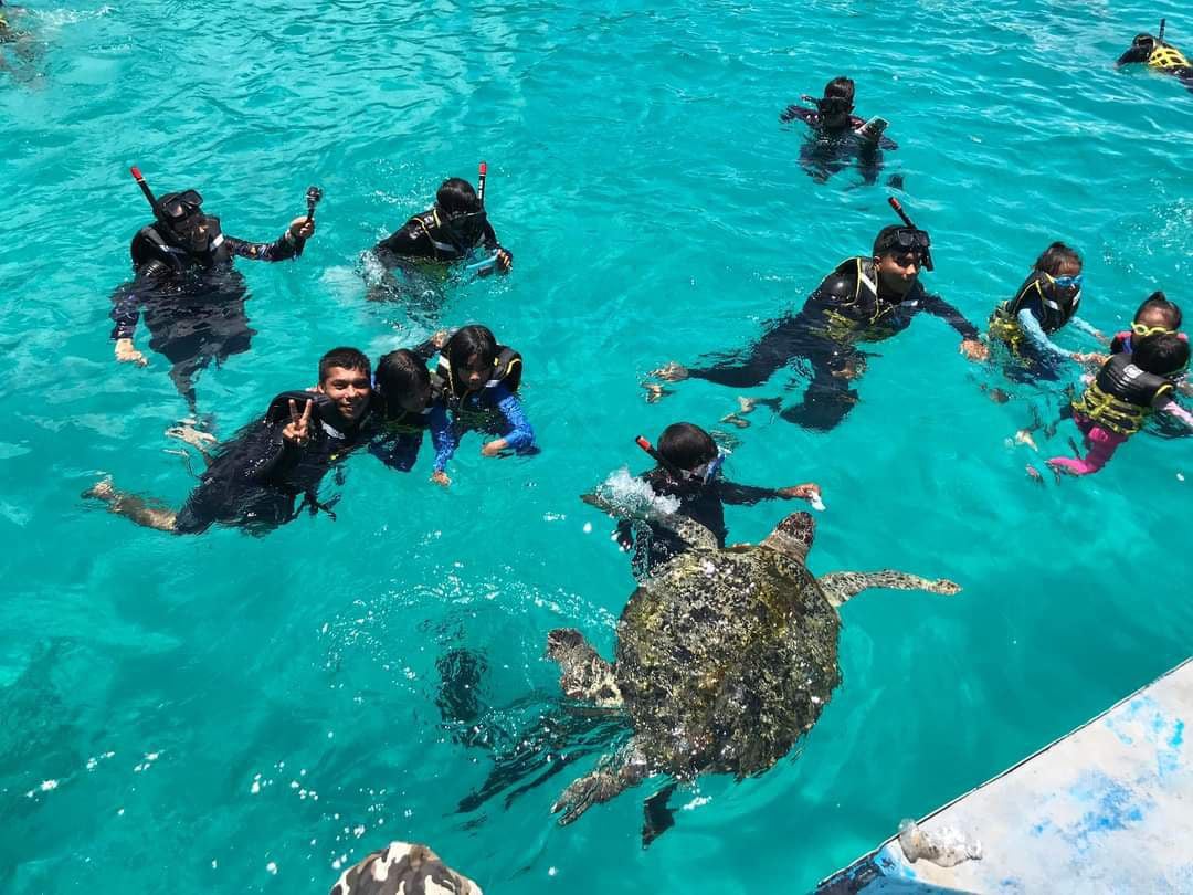 Perhentian snorkeling pulau ombak dive