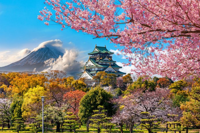 Rencana perjalanan solo trip jepang 5 hari hemat dan aman
