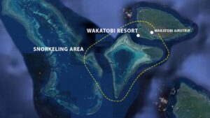 Biaya Snorkeling Plus Makan Siang di Wakatobi