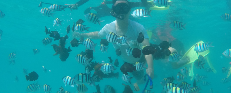 Paket wisata snorkeling di Pulau Weh termasuk penginapan