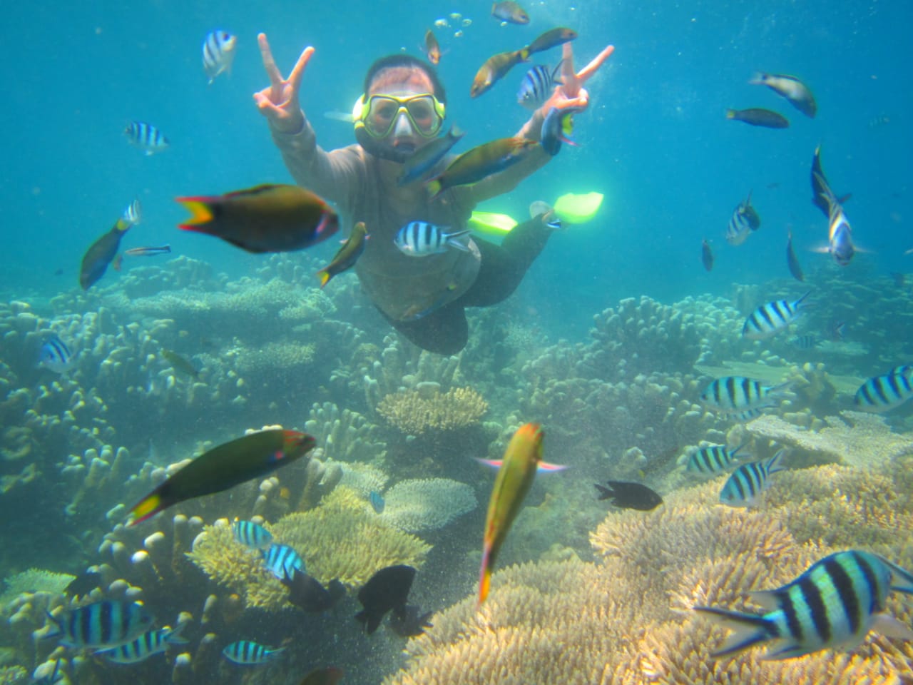 Harga paket snorkeling all inclusive di Karimunjawa
