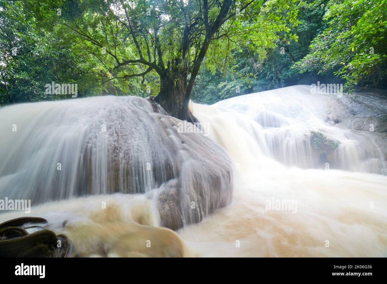 Rainy waterfall season natural beautiful preview