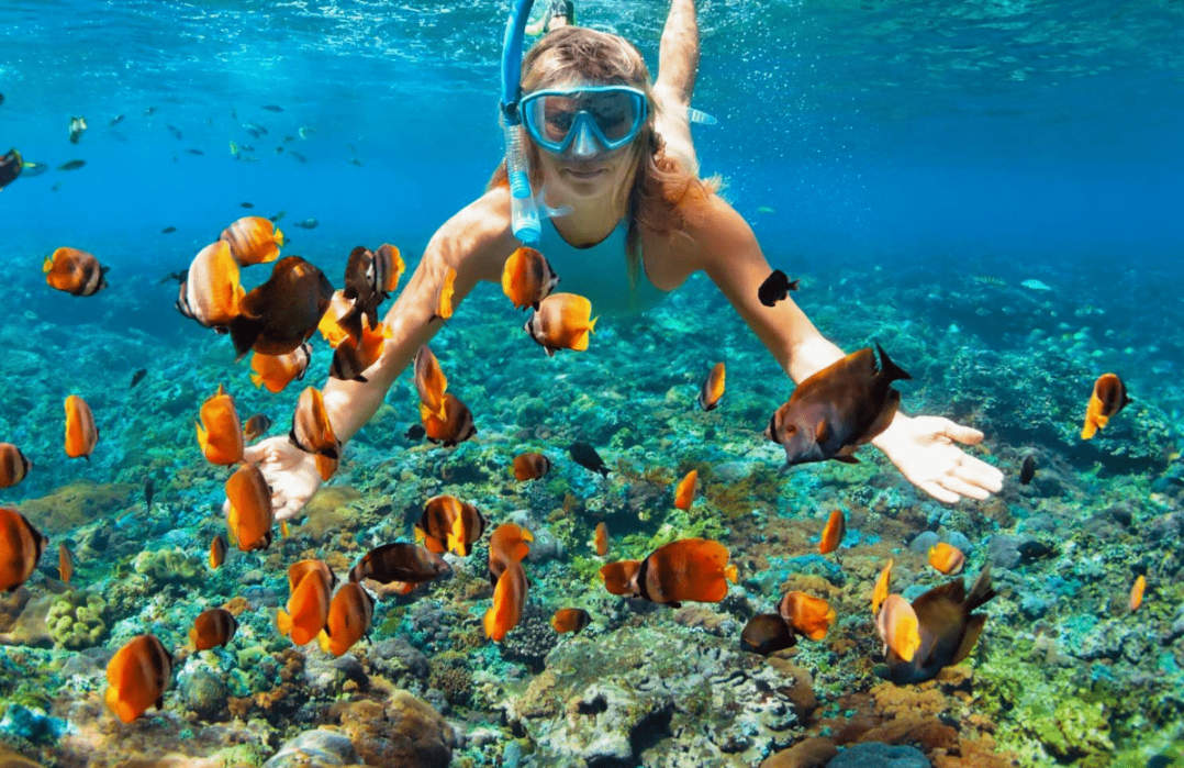 Review dan perbandingan harga snorkeling di  Nusa Lembongan