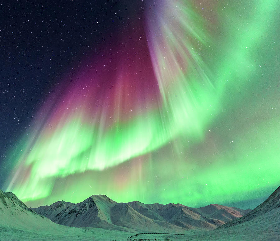 Tempat terbaik melihat aurora di Alaska tanpa polusi cahaya