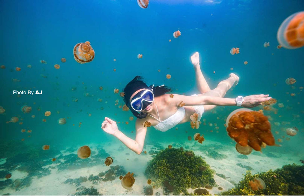 Paket snorkeling terbaik di Derawan dengan harga terjangkau