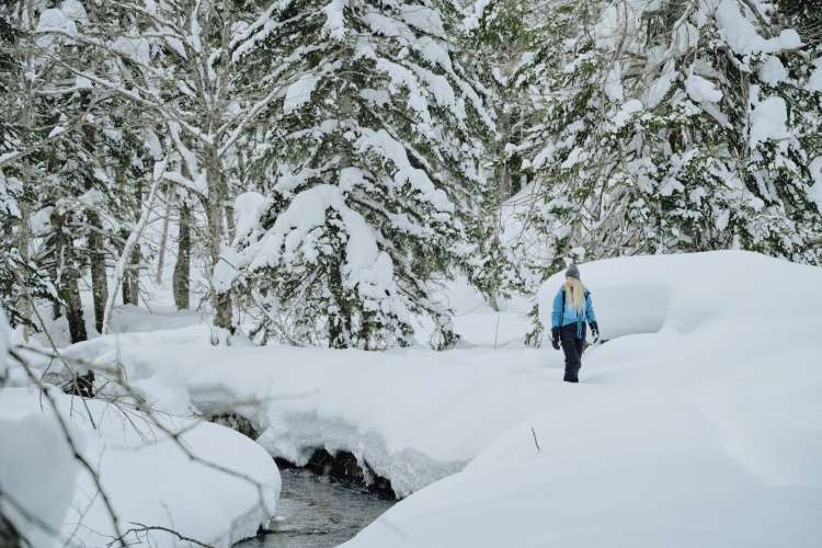 Aktivitas seru liburan winter di Jepang selain ski