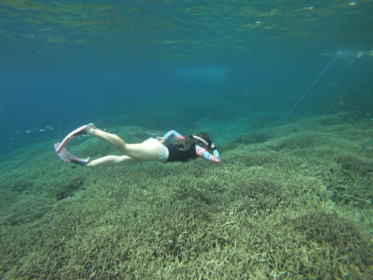 Cari paket snorkeling di  Maluku Utara yang hemat