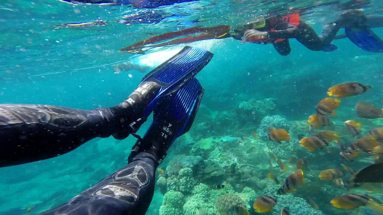 Perbandingan harga snorkeling di Bali dan Nusa Penida