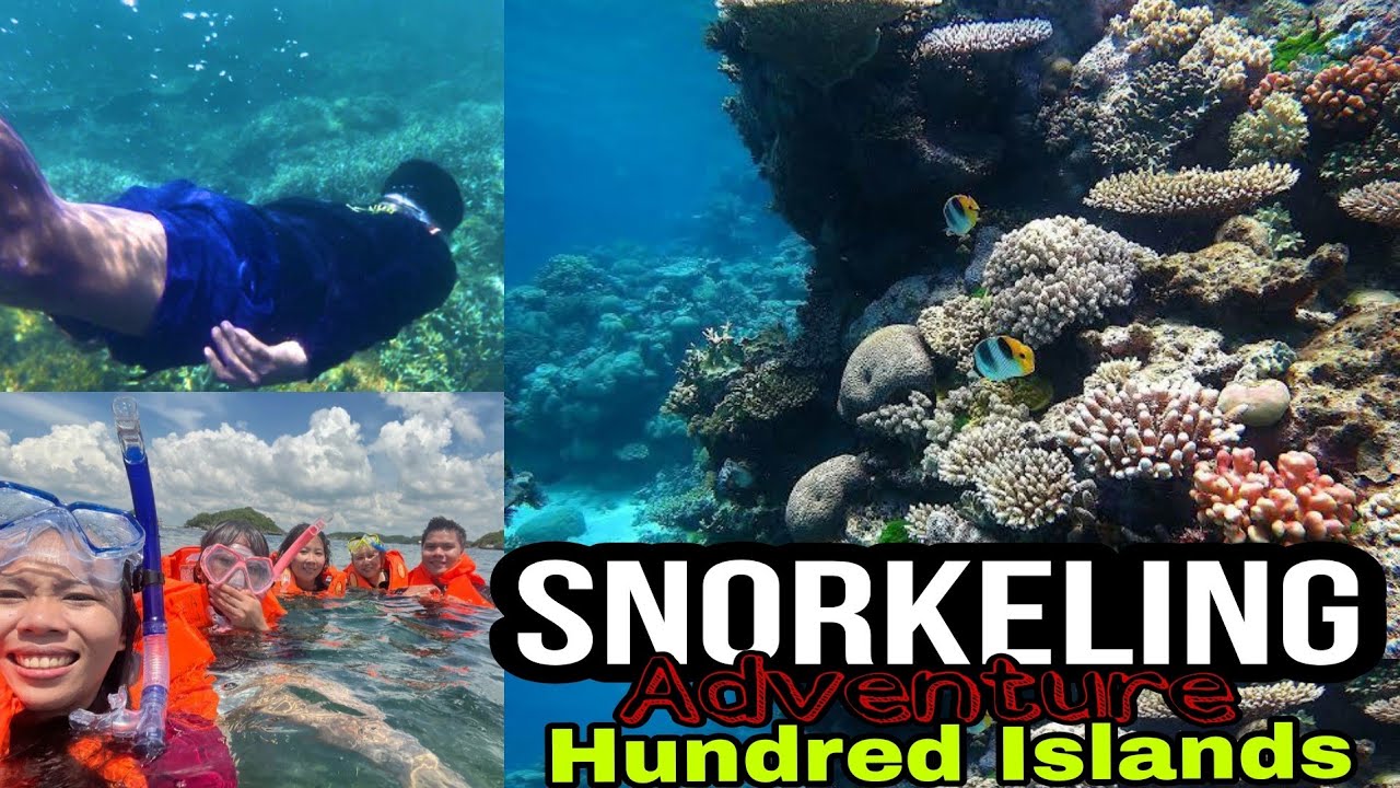 Estimasi biaya snorkeling di Kepulauan Seribu untuk berdua