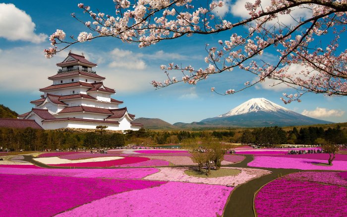 Liburan ke Jepang musim semi: sakura dan festival