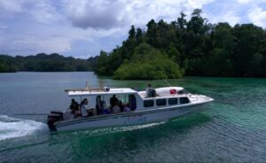 Harga Paket Snorkeling Raja Ampat vs Bunaken