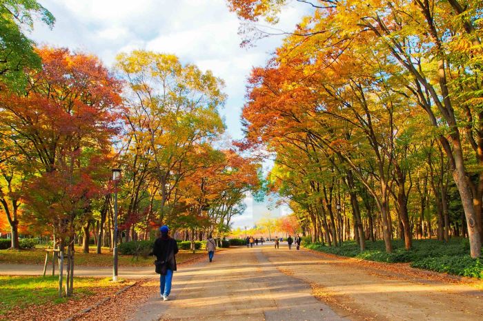Membuat itinerary liburan jepang 5 hari dengan budget terbatas