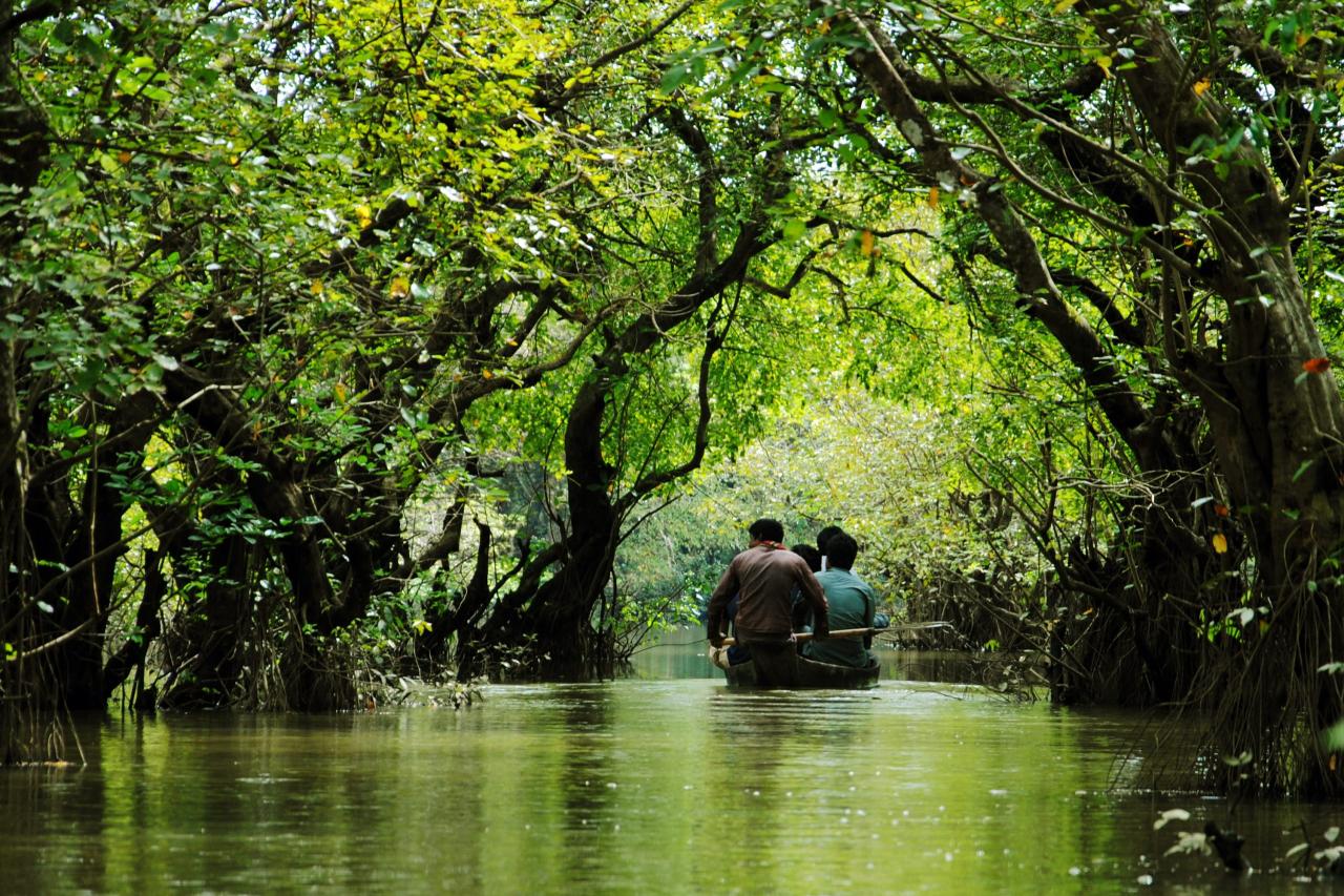 Lonavala rainy season places visit beautiful finest