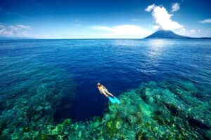 Pengalaman Snorkeling Bunaken Ikan Warna-Warni dan Biota Laut