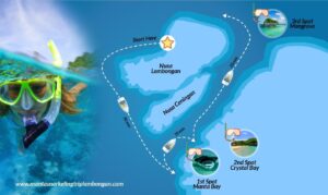 Review dan Perbandingan Harga Snorkeling Nusa Lembongan
