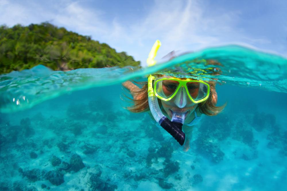 Menjangan snorkeling bali sea life groups aquarium locations other schools jersey education receive latest group classroom visitsealife voucher orlando michigan