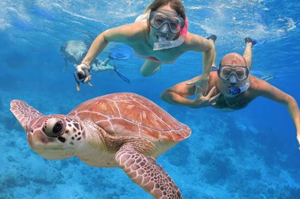 Estimasi biaya snorkeling di Kepulauan Seribu untuk berdua