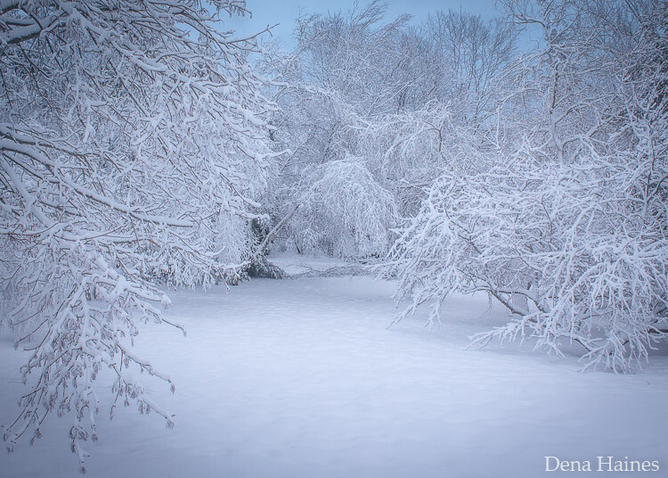 Tips fotografi liburan winter di tempat bersalju