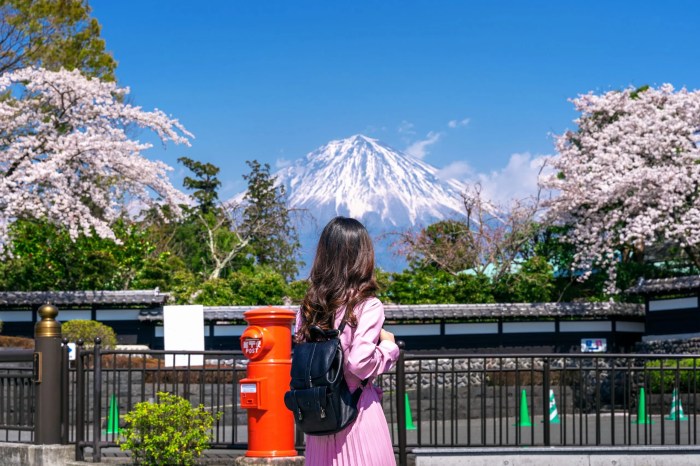 Anggaran liburan solo trip jepang 7 hari untuk perempuan