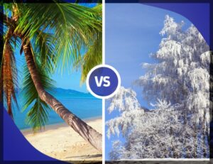 Liburan China Musim Panas vs Musim Dingin & Biayanya