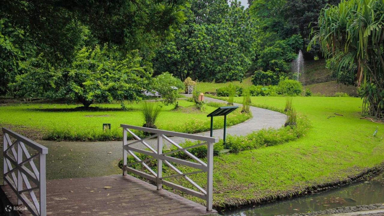 Bogor botanical gardens pond ponds beautiful watery several wednesday week want also find share our